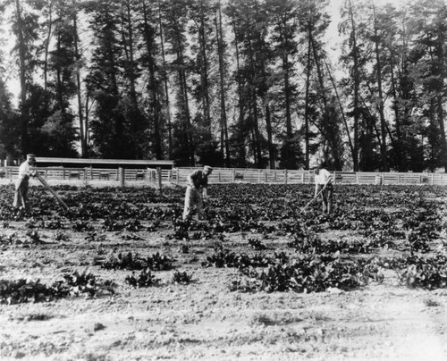 Sherman Indian High School agricultural students