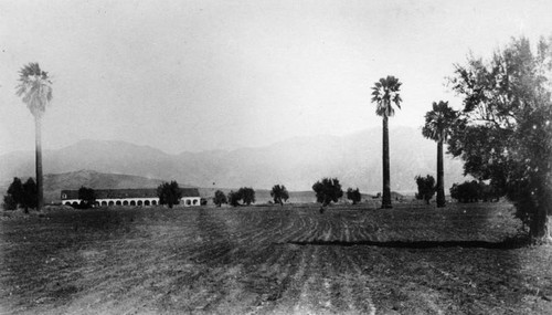 Convento Building and trees, San Fernando Rey de Espan~a Mission