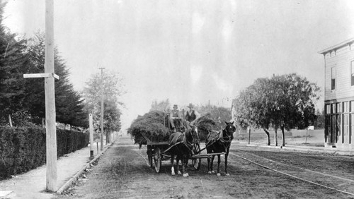 Hay at Pico and Figueroa