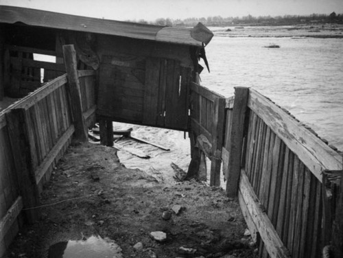 Collapsed hog barn, El Monte floods