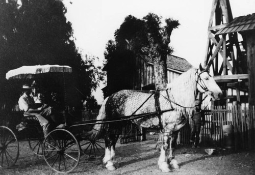 Carriage at a water well