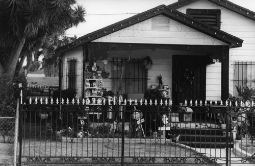 House with birdhouses