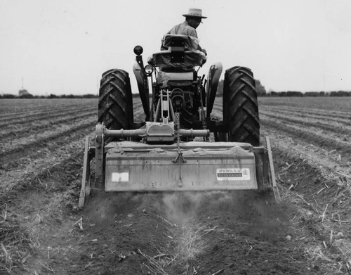 Man on tractor