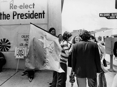 Viet Cong flag at protest