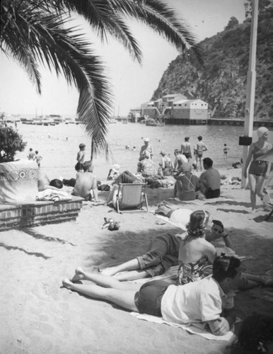 Beach and harbor in Avalon