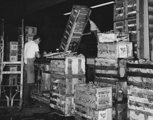 Vegetables packing plant