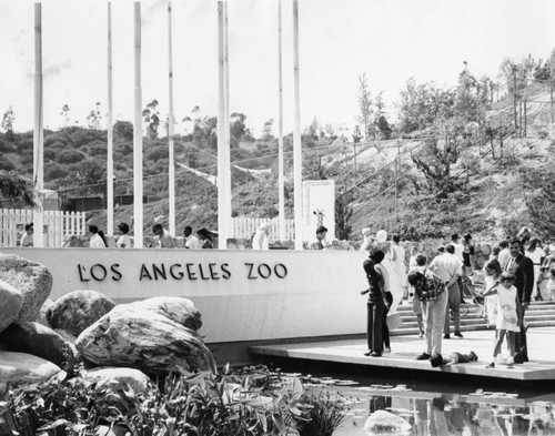 Pond at Los Angeles Zoo