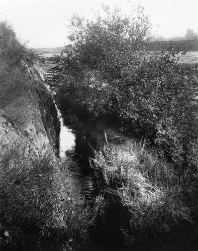 Buena Vista Reservoir ditch