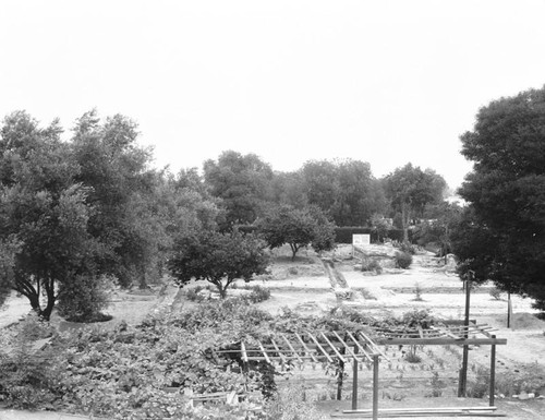 Mission San Gabriel Arcangel, garden view