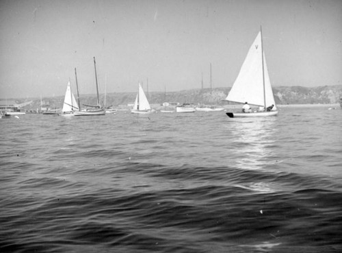 Sailboats on the water