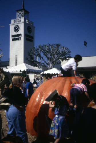 Harvest Festival, Farmers Market