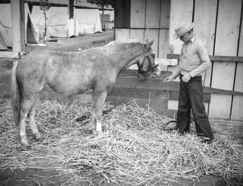 Pony and trainer at Los Angeles County Fair