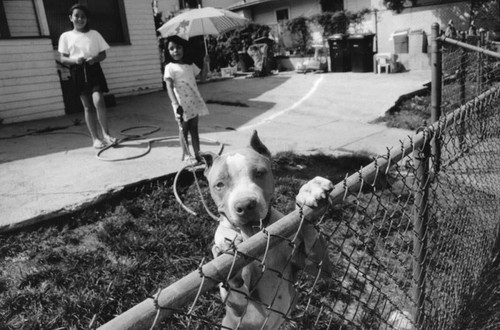 Two girls and dog in yard, Echo Park