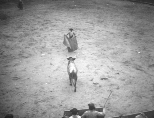 Showdown at El Toreo de Tijuana