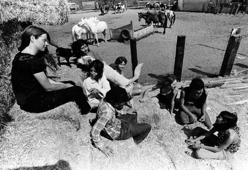 Manson family on the hay