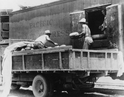 Loading watermelons onto train