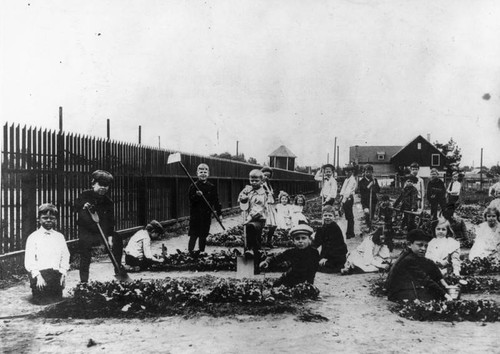 Students making a garden, Garfield School