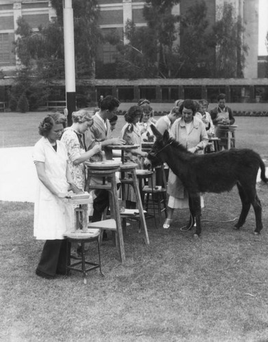 Students sculpting a donkey, view 3