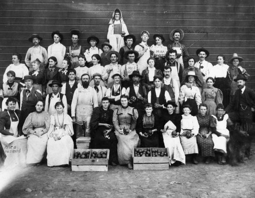 Santa Paula farm workers