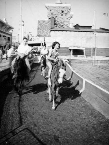 Pony ride on Venice pier