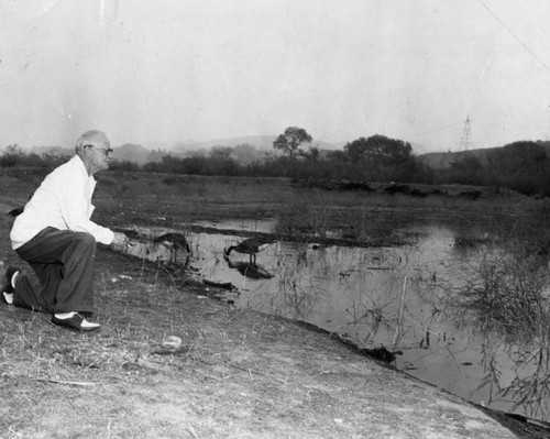 Pop's Willow Lake