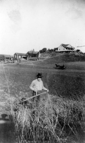 Cutting hay in Silver Lake