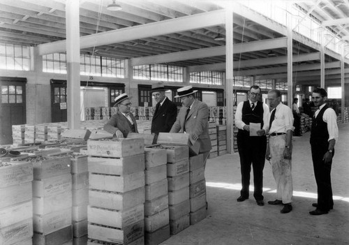 Inspecting product at the California Fruit Auction Co