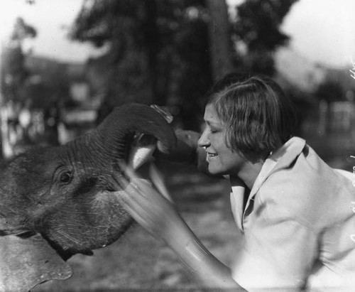 Feeding a baby elephant