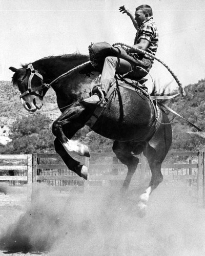 The ups and downs of a bronco rider