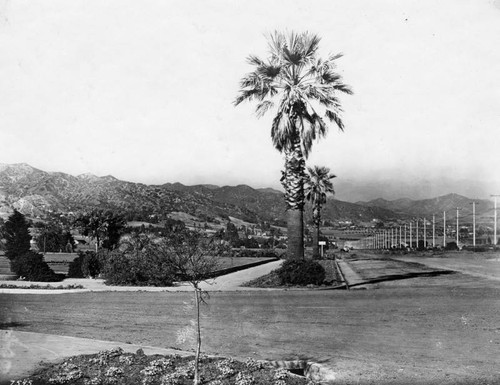 Panoramic view of Beverly Hills