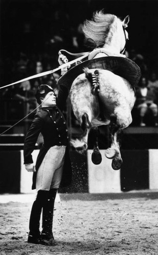 Equestrian capriole — Calisphere