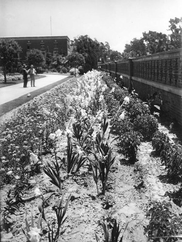 Garden in Exposition Park