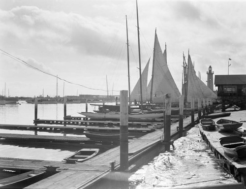 Yachts docked in the harbor