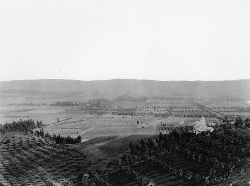 Hollywood panorama