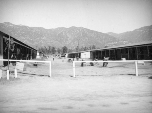 Rows of stables, Santa Anita Racetrack