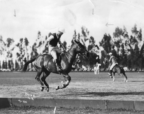 Polo match