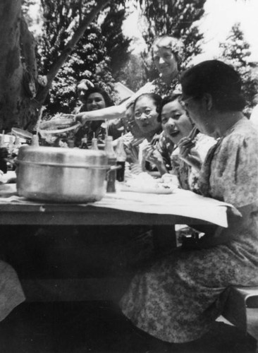 Women at picnic