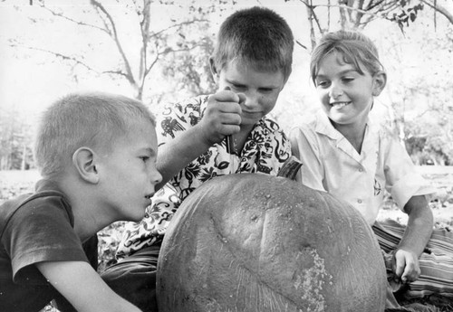 Youngsters work on a pumpkin