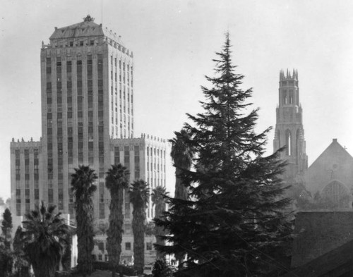 Wilshire Professional Building