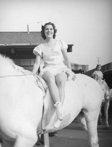 White horses on parade at the Farmers Market Fall Festival