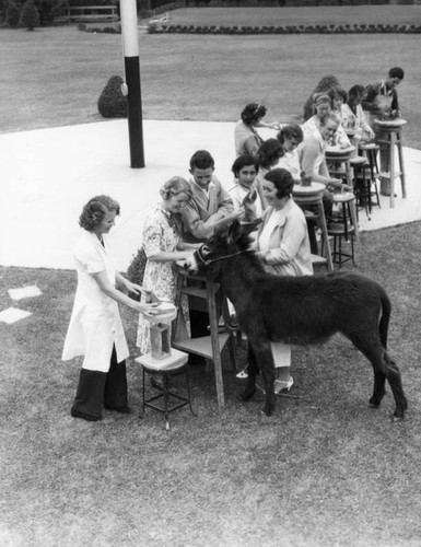 Students sculpting a donkey, view 5