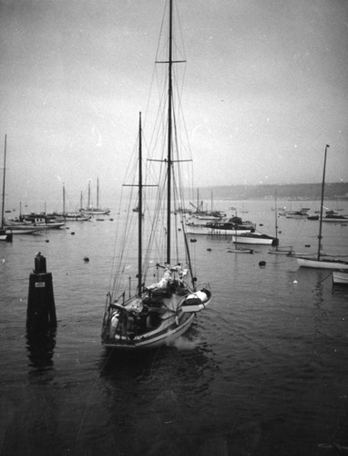 Yachts tied to buoys in Santa Monica