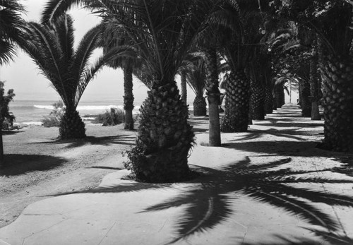 Royal Palms State Beach, San Pedro