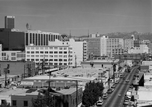 Maple Avenue, Los Angeles Garment District