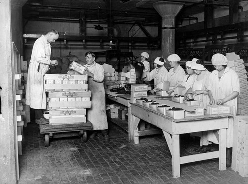 Women packing sausages