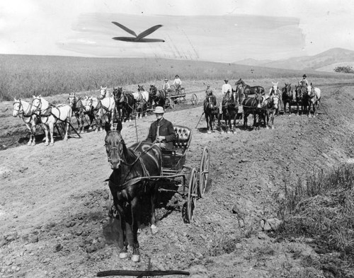 Horses grading land