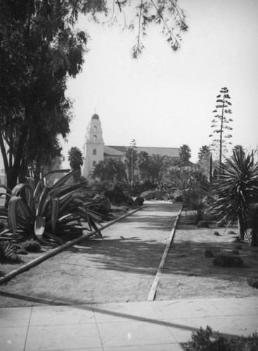 Church of the Good Shepard behind cactus gardens of Beverly Gardens Park