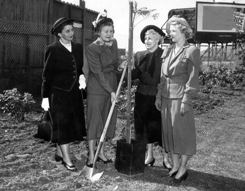 Tree planting on Cahuenga Freeway