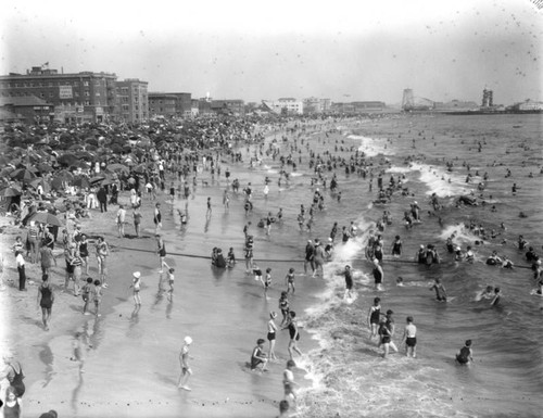 Crowds of people along Venice beach