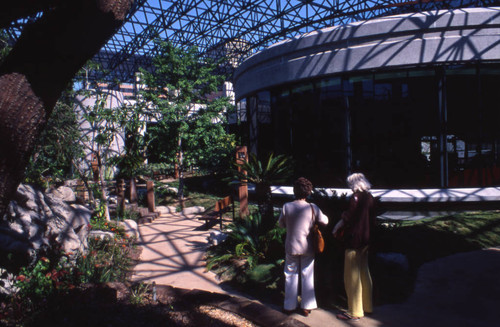 George C. Page Museum, La Brea Tar Pits